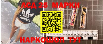 гидра Боровичи