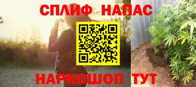 гидра Боровичи